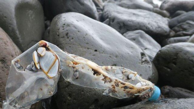 جزیره ای که وسعت آلودگی پلاستیکی در دریاها را نشان می دهد