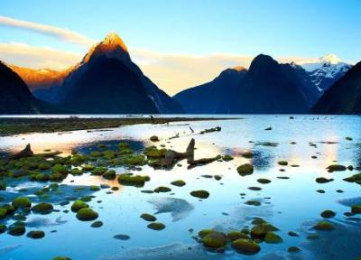 زیباترین پارک های ملی نیوزیلند