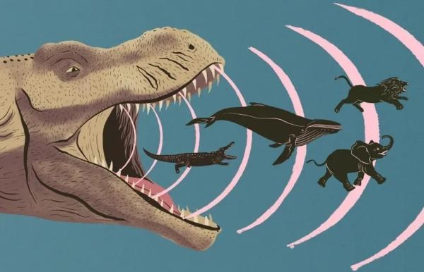 دایناسور ها چه صدا هایی فراوری می کردند؟